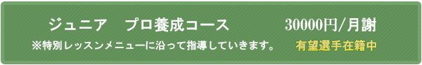 ジュニア　プロ養成コース